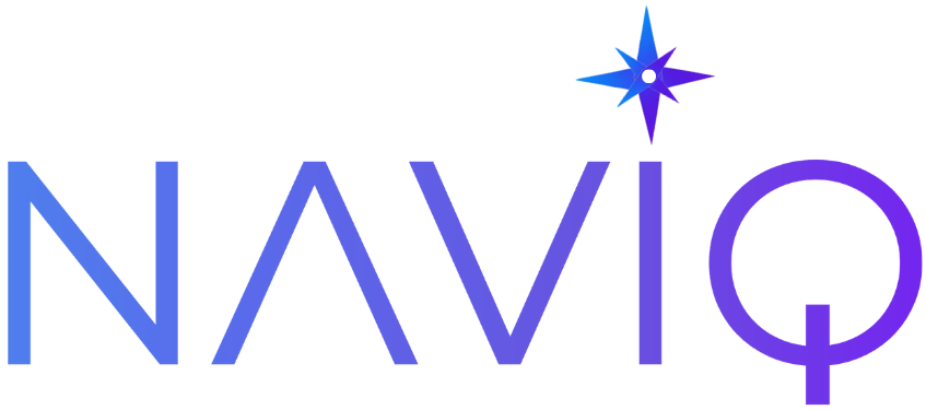 NavIQ Logo